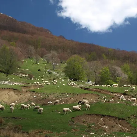 Holiday home Ucka Nature Park Mountain Hideway Robinson House Matic With Pool