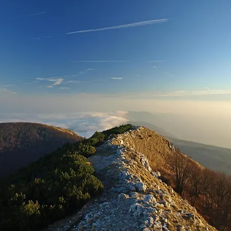 Ucka Nature Park Mountain Hideway Robinson House Matic With Pool