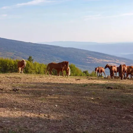 Ucka Nature Park Mountain Hideway Robinson House Matic With Pool Holiday home Brest